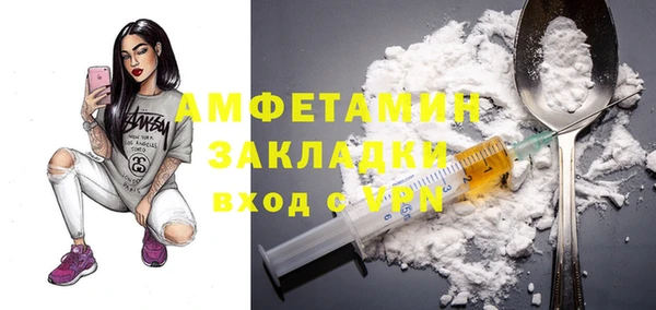 прущие грибы Балахна