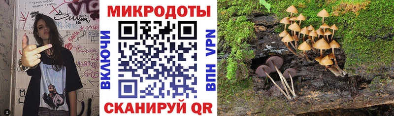 Галлюциногенные грибы GOLDEN TEACHER Ясногорск